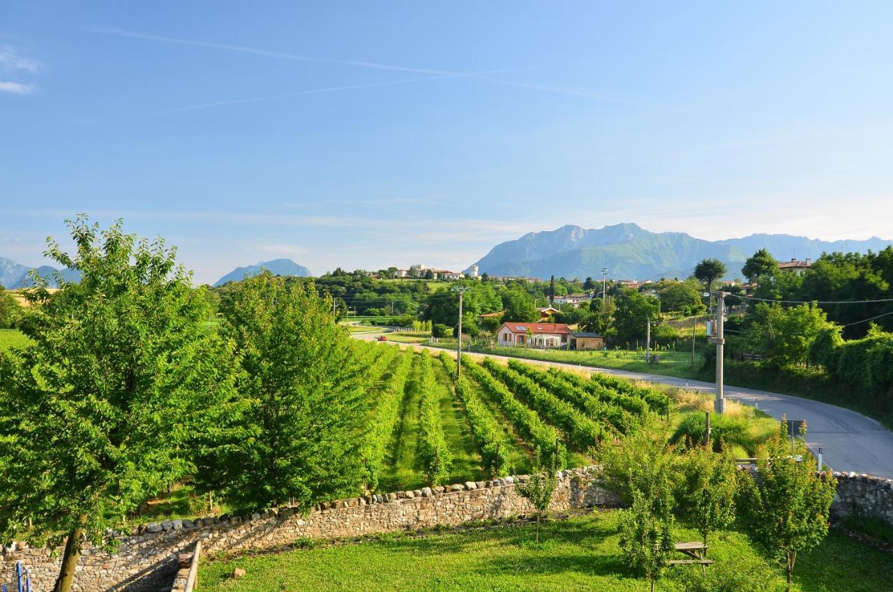 Agriturismo Borgo Floreani Vendoglio Bagian luar foto